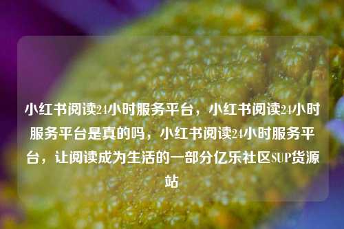 小红书阅读24小时服务平台，小红书阅读24小时服务平台是真的吗	，小红书阅读24小时服务平台，让阅读成为生活的一部分亿乐社区SUP货源站  第1张
