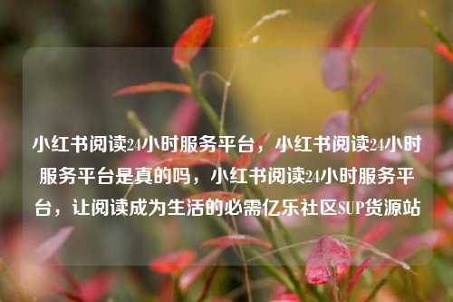 小红书阅读24小时服务平台，小红书阅读24小时服务平台是真的吗，小红书阅读24小时服务平台	，让阅读成为生活的必需亿乐社区SUP货源站  第1张