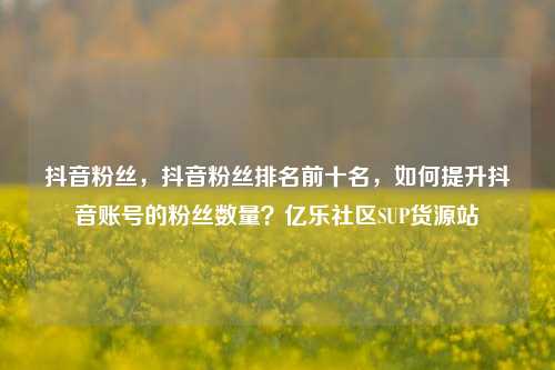 抖音粉丝，抖音粉丝排名前十名	，如何提升抖音账号的粉丝数量？亿乐社区SUP货源站  第1张