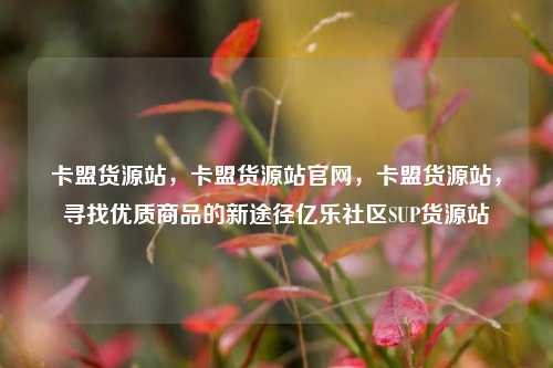 卡盟货源站，卡盟货源站官网，卡盟货源站	，寻找优质商品的新途径亿乐社区SUP货源站  第1张