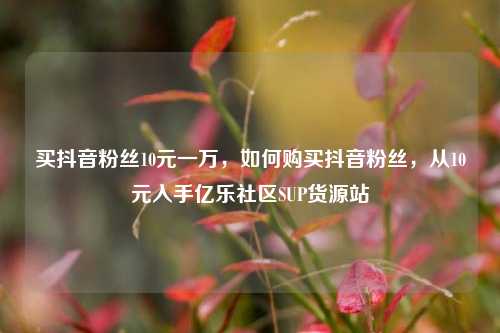 买抖音粉丝10元一万，如何购买抖音粉丝，从10元入手亿乐社区SUP货源站  第1张