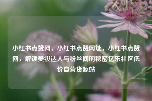 小红书点赞网，小红书点赞网址	，小红书点赞网，解锁美妆达人与粉丝间的秘密亿乐社区低价自营货源站  第1张