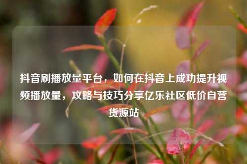 抖音刷播放量平台，如何在抖音上成功提升视频播放量	，攻略与技巧分享亿乐社区低价自营货源站  第1张