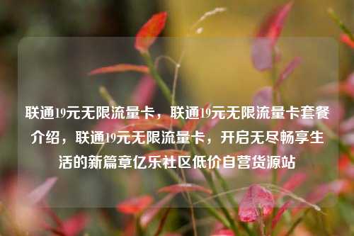 联通19元无限流量卡	，联通19元无限流量卡套餐介绍，联通19元无限流量卡，开启无尽畅享生活的新篇章亿乐社区低价自营货源站  第1张