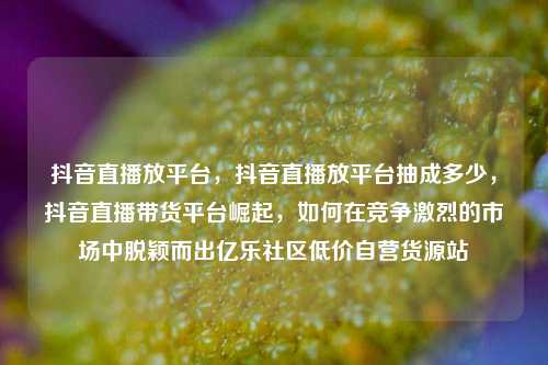 抖音直播放平台，抖音直播放平台抽成多少，抖音直播带货平台崛起	，如何在竞争激烈的市场中脱颖而出亿乐社区低价自营货源站  第1张