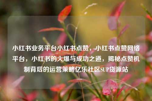 小红书业务平台小红书点赞，小红书点赞网络平台	，小红书的火爆与成功之道，揭秘点赞机制背后的运营策略亿乐社区SUP货源站  第1张