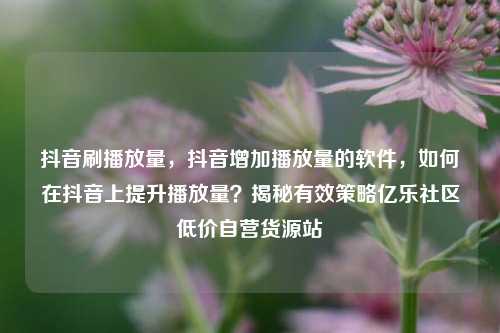 抖音刷播放量	，抖音增加播放量的软件，如何在抖音上提升播放量？揭秘有效策略亿乐社区低价自营货源站  第1张