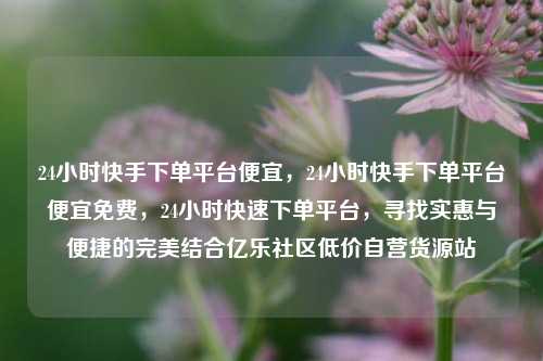 24小时快手下单平台便宜	，24小时快手下单平台便宜免费，24小时快速下单平台，寻找实惠与便捷的完美结合亿乐社区低价自营货源站  第1张