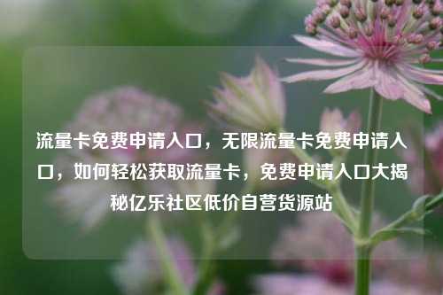 流量卡免费申请入口	，无限流量卡免费申请入口，如何轻松获取流量卡，免费申请入口大揭秘亿乐社区低价自营货源站  第1张