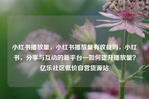 小红书播放量，小红书播放量有收益吗	，小红书，分享与互动的新平台—如何提升播放量？亿乐社区低价自营货源站  第1张