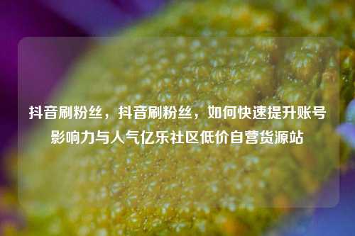 抖音刷粉丝，抖音刷粉丝，如何快速提升账号影响力与人气亿乐社区低价自营货源站  第1张