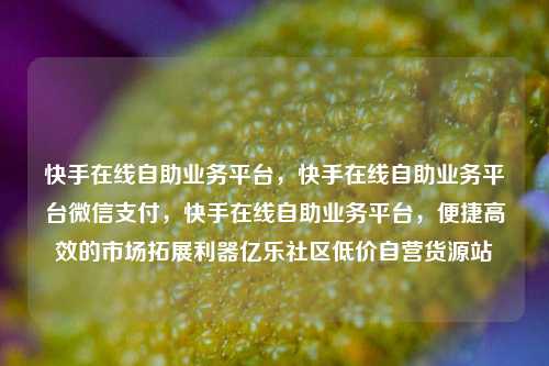 快手在线自助业务平台	，快手在线自助业务平台微信支付，快手在线自助业务平台，便捷高效的市场拓展利器亿乐社区低价自营货源站  第1张