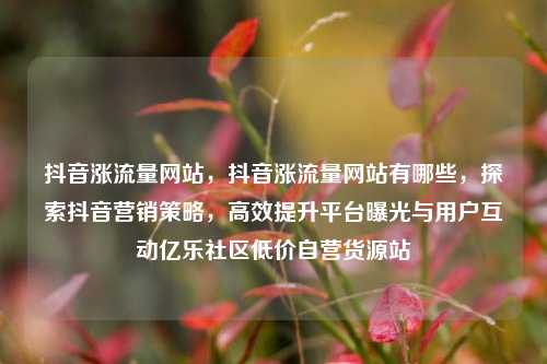 抖音涨流量网站，抖音涨流量网站有哪些，探索抖音营销策略	，高效提升平台曝光与用户互动亿乐社区低价自营货源站  第1张
