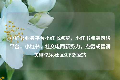 小红书业务平台小红书点赞，小红书点赞网络平台，小红书	，社交电商新势力，点赞成营销关键亿乐社区SUP货源站  第1张