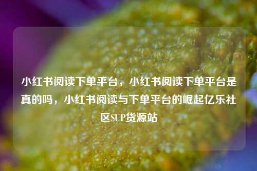 小红书阅读下单平台，小红书阅读下单平台是真的吗	，小红书阅读与下单平台的崛起亿乐社区SUP货源站  第1张