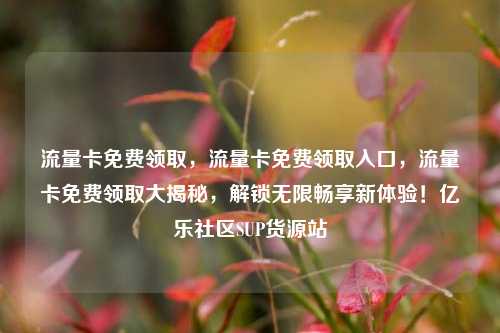 流量卡免费领取，流量卡免费领取入口，流量卡免费领取大揭秘	，解锁无限畅享新体验！亿乐社区SUP货源站  第1张