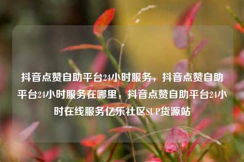 抖音点赞自助平台24小时服务	，抖音点赞自助平台24小时服务在哪里，抖音点赞自助平台24小时在线服务亿乐社区SUP货源站  第1张