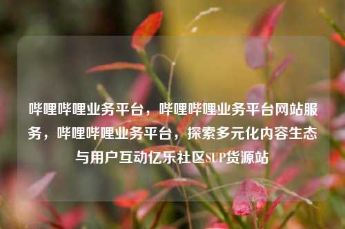 哔哩哔哩业务平台，哔哩哔哩业务平台网站服务，哔哩哔哩业务平台	，探索多元化内容生态与用户互动亿乐社区SUP货源站  第1张