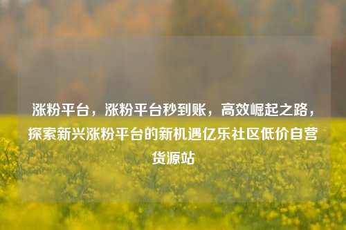 涨粉平台，涨粉平台秒到账	，高效崛起之路，探索新兴涨粉平台的新机遇亿乐社区低价自营货源站  第1张