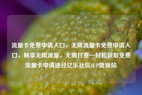 流量卡免费申请入口	，无限流量卡免费申请入口，畅享无限流量，无需付费—轻松获取免费流量卡申请途径亿乐社区SUP货源站  第1张