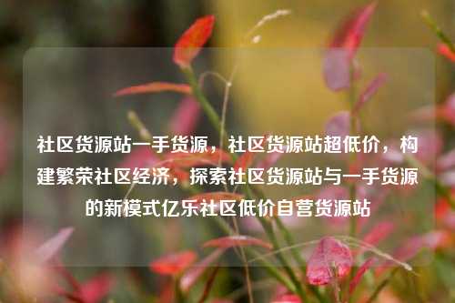 社区货源站一手货源	，社区货源站超低价，构建繁荣社区经济，探索社区货源站与一手货源的新模式亿乐社区低价自营货源站  第1张