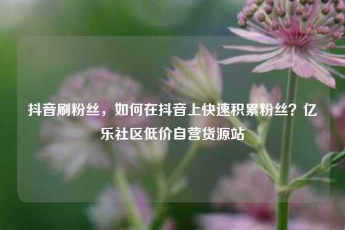 抖音刷粉丝，如何在抖音上快速积累粉丝？亿乐社区低价自营货源站  第1张