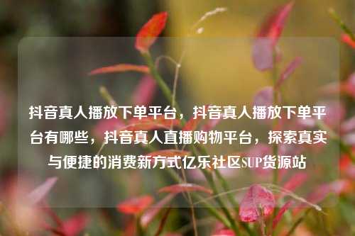 抖音真人播放下单平台，抖音真人播放下单平台有哪些，抖音真人直播购物平台	，探索真实与便捷的消费新方式亿乐社区SUP货源站  第1张