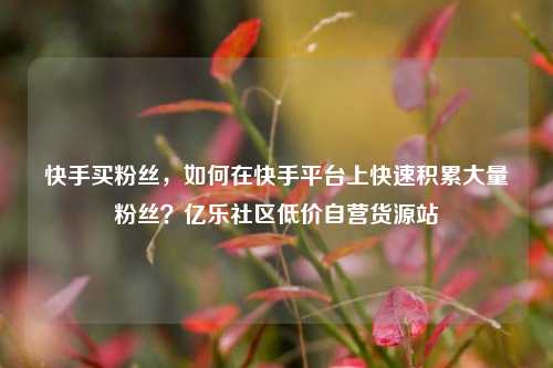 快手买粉丝，如何在快手平台上快速积累大量粉丝？亿乐社区低价自营货源站  第1张