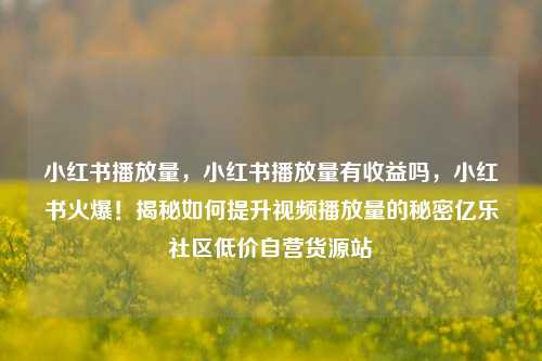小红书播放量，小红书播放量有收益吗	，小红书火爆！揭秘如何提升视频播放量的秘密亿乐社区低价自营货源站  第1张