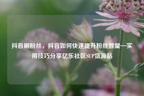 抖音刷粉丝，抖音如何快速提升粉丝数量—实用技巧分享亿乐社区SUP货源站  第1张