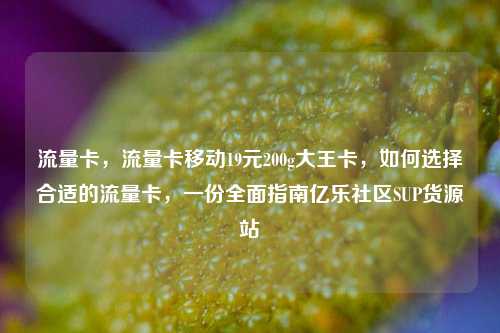 流量卡	，流量卡移动19元200g大王卡，如何选择合适的流量卡，一份全面指南亿乐社区SUP货源站  第1张