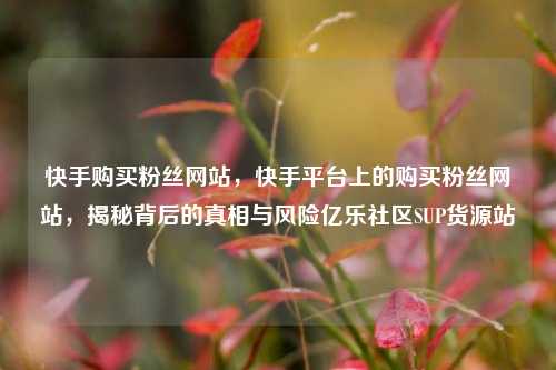 快手购买粉丝网站	，快手平台上的购买粉丝网站，揭秘背后的真相与风险亿乐社区SUP货源站  第1张