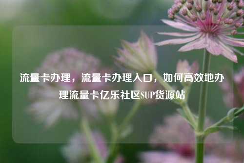 流量卡办理，流量卡办理入口	，如何高效地办理流量卡亿乐社区SUP货源站  第1张