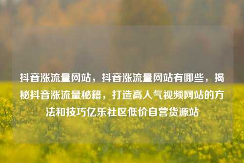 抖音涨流量网站，抖音涨流量网站有哪些	，揭秘抖音涨流量秘籍，打造高人气视频网站的方法和技巧亿乐社区低价自营货源站  第1张