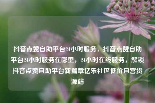 抖音点赞自助平台24小时服务，抖音点赞自助平台24小时服务在哪里，24小时在线服务	，解锁抖音点赞自助平台新篇章亿乐社区低价自营货源站  第1张