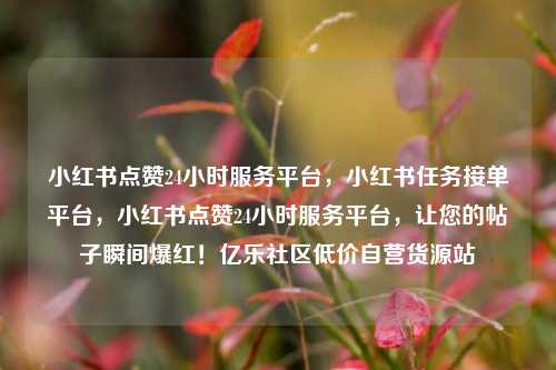小红书点赞24小时服务平台，小红书任务接单平台，小红书点赞24小时服务平台	，让您的帖子瞬间爆红！亿乐社区低价自营货源站  第1张