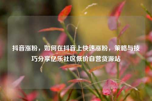 抖音涨粉，如何在抖音上快速涨粉	，策略与技巧分享亿乐社区低价自营货源站  第1张