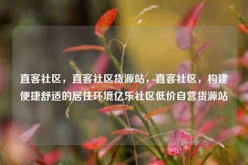 直客社区，直客社区货源站，直客社区	，构建便捷舒适的居住环境亿乐社区低价自营货源站  第1张