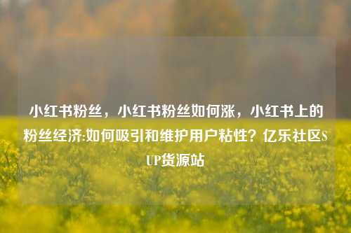 小红书粉丝，小红书粉丝如何涨	，小红书上的粉丝经济:如何吸引和维护用户粘性？亿乐社区SUP货源站  第1张