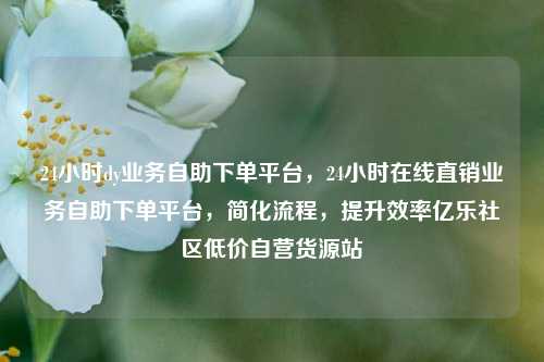 24小时dy业务自助下单平台，24小时在线直销业务自助下单平台，简化流程	，提升效率亿乐社区低价自营货源站  第1张