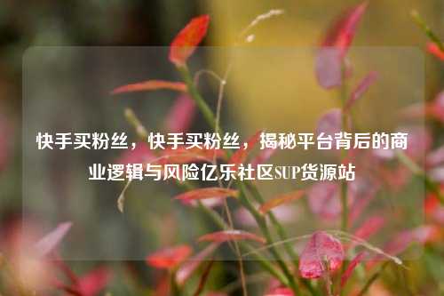 快手买粉丝，快手买粉丝	，揭秘平台背后的商业逻辑与风险亿乐社区SUP货源站  第1张