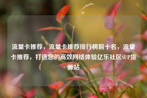 流量卡推荐，流量卡推荐排行榜前十名，流量卡推荐	，打造您的高效网络体验亿乐社区SUP货源站  第1张