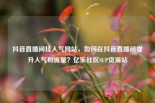 抖音直播间挂人气网站，如何在抖音直播间提升人气和流量？亿乐社区SUP货源站  第1张