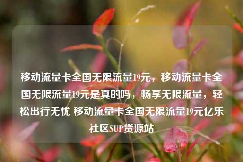 移动流量卡全国无限流量19元，移动流量卡全国无限流量19元是真的吗，畅享无限流量	，轻松出行无忧 移动流量卡全国无限流量19元亿乐社区SUP货源站  第1张
