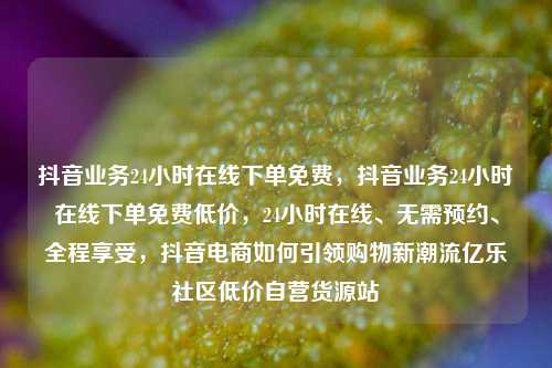 抖音业务24小时在线下单免费	，抖音业务24小时在线下单免费低价，24小时在线	、无需预约、全程享受，抖音电商如何引领购物新潮流亿乐社区低价自营货源站  第1张
