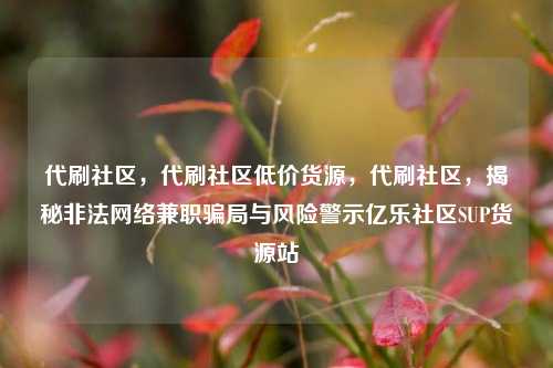 代刷社区	，代刷社区低价货源，代刷社区，揭秘非法网络兼职骗局与风险警示亿乐社区SUP货源站  第1张