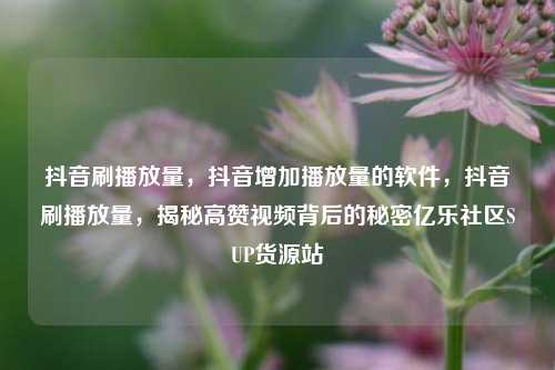 抖音刷播放量，抖音增加播放量的软件，抖音刷播放量，揭秘高赞视频背后的秘密亿乐社区SUP货源站  第1张