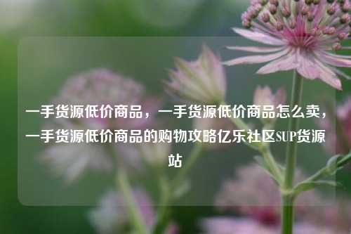一手货源低价商品，一手货源低价商品怎么卖，一手货源低价商品的购物攻略亿乐社区SUP货源站  第1张