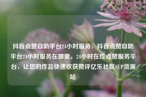 抖音点赞自助平台24小时服务	，抖音点赞自助平台24小时服务在哪里，24小时在线点赞服务平台，让您的作品快速收获赞评亿乐社区SUP货源站  第1张