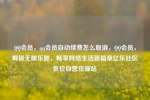 QQ会员，qq会员自动续费怎么取消，QQ会员	，解锁无限乐趣，畅享网络生活新篇章亿乐社区低价自营货源站  第1张